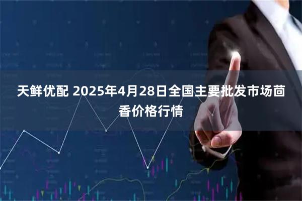 天鲜优配 2025年4月28日全国主要批发市场茴香价格行情