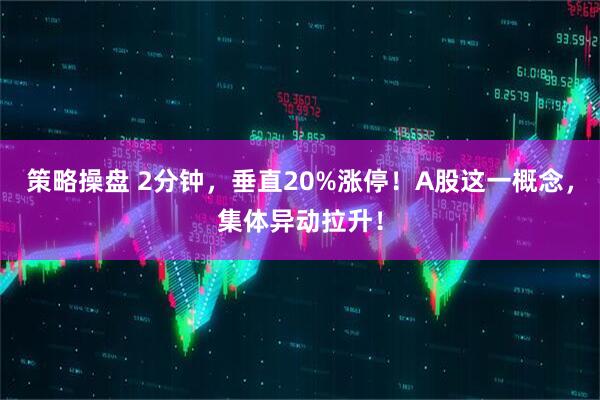 策略操盘 2分钟，垂直20%涨停！A股这一概念，集体异动拉升！