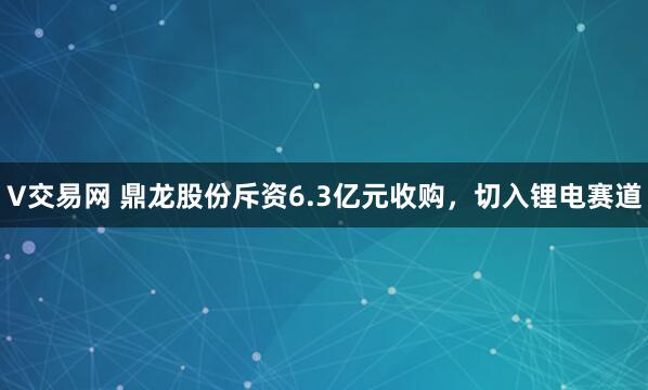 V交易网 鼎龙股份斥资6.3亿元收购，切入锂电赛道